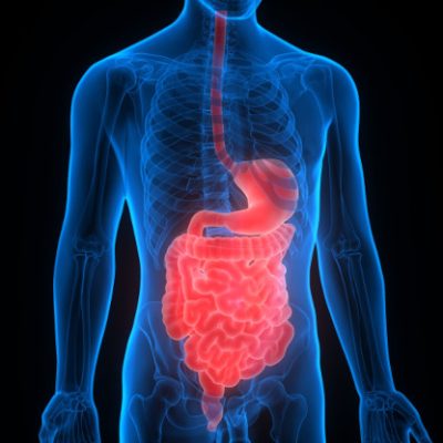 about-inflammatory-bowel-disease-teaser